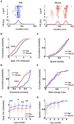 Comparing Mouse and Rat Hippocampal Place Cell Activities and Firing Sequences in the Same Environments